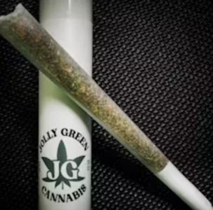 Jolly Green - Apple Fritter - 1g - Jolly Green