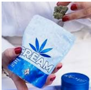 CREAM - CREAM - Jack Herer - Shake - 7G