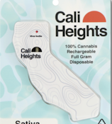 Cali Heights | Straw Diesel Disposable | 1g