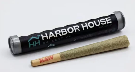 Harbor House - Black Maple - 1g - Harbor House