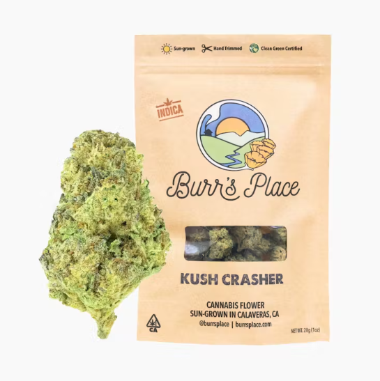 Burr's Place: Burrs Place