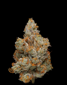 CLADE9 - [REC] Clade9 | Diamond Dust | 1g Flower