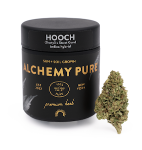 ALCHEMY PURE - Hooch - 3.5g Flower