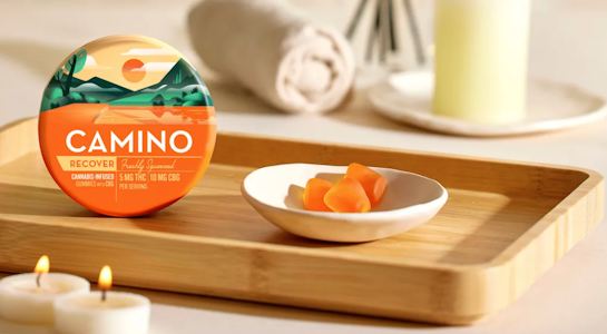 CAMINO - Camino - Recover - Freshly Squeezed - 5THC:10CBG - Gummies - 20pk - 100mg