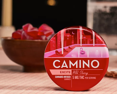 CAMINO - Camino - Wild Cherry  - Gummies - 20pk - 100mg