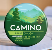 Camino - Focus - Green Apple - 5THC:2THCv - Gummies - 20pk - 100mg