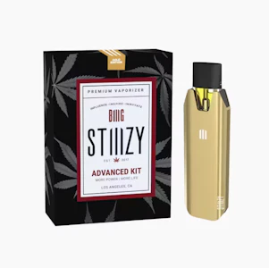 STIIIZY - BIIIG Starter Kit - Gold