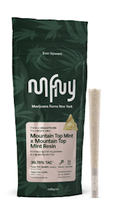 MFNY - MFNY - Mountain Top Mint x Mountain Top Mint Resin - 1g Infused - Preroll