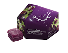 WYLD - Boysenberry Gummies 1:1:1 CBD/CBN/THC 100mg