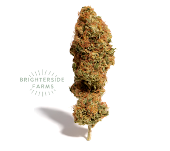 Brighterside - [REC] Brighterside | GH1 | 3.5g Premium Flower