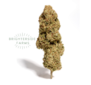 [REC] Brighterside | Cream Cake | 3.5g Flower