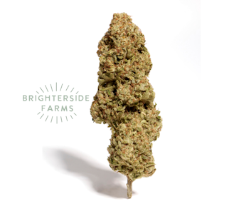 Brighterside - [REC] Brighterside | Cream Cake | 3.5g Flower