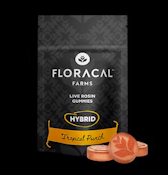 Floracal Live Rosin Gummies - Tropical Punch - 100mg 10ct