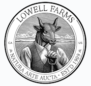 [REC] Lowell | Prerolls | A Shore Thing | 6pk/3.5g