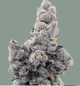 Trifecta Farms - Ethanol - 14g - Trifecta Farms