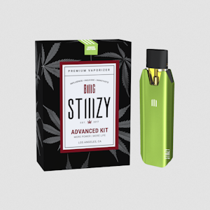 STIIIZY - Stiiizy - Biiig Green Starter Kit Battery