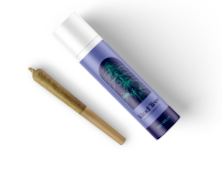 [REC] Kind Tree | Glitter Bomb | 1g/2pk Preroll