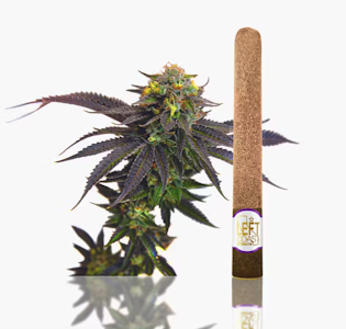 LEFT COAST - LEFT COAST 2.2G Grape Cookies Blunt Roll