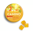 Kiva Camino Gummies Mango Serenity CBD 1:1