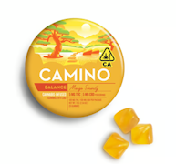 Kiva Camino Gummies Mango Serenity CBD 1:1