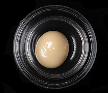 KALYA - KALYA 1G Amarelo + Z Cold Cure Rosin