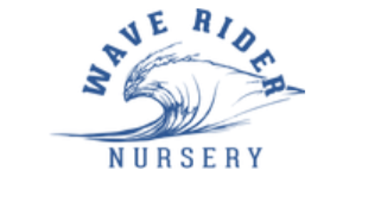 Wave Rider - Purple Haze (S) | 28g Bag | Wave Rider
