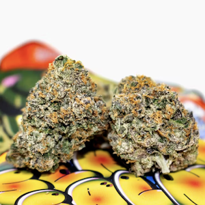 TEDS BUDZ - TEDS BUDZ 3.5G Slammin Salmon Indoor Flower