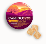 Camino - Sours Orchard Peach - 1:1 - 100mg - Edible