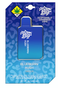 1g All in One Blueberry Kush - Micro Bar Disposable