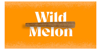 [REC] Doinks | WIld Melon | 1g Herbal Cigar