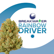 [MED] Breakwater | Rainbow Driver | 7g Flower