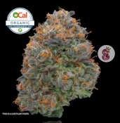 No Till Kings 3.5G Gelato 41 Flower