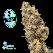 [REC] Garden Greens | Willy Kush | 3.5g Flower