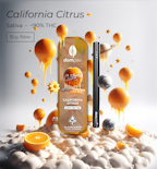 Dompen - 1g AIO - California Citrus