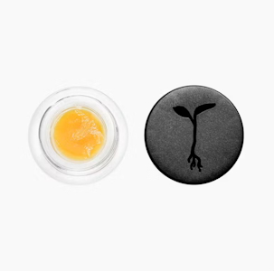 RAW GARDEN - RAW GARDEN - Concentrate - Cereal Milk - Live Badder - 1G