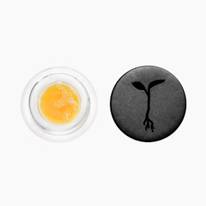 RAW GARDEN - RAW GARDEN - Concentrate - OG Squeeze - Live Badder - 1G