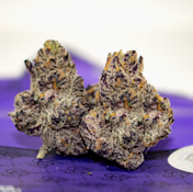 TEDS BUDZ 3.5G Blueberry Cherries Indoor Flower