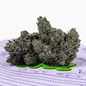 TEDS BUDZ 3.5G Poison Gushers Indoor Flower