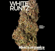 White Runtz - 3.5g Flower