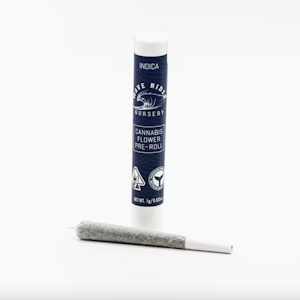 Wave Rider - Forbidden Fruit (I) | 1g Preroll | Wave Rider