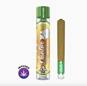 Jeeter - Pina Colada (H) | 2g Infused Preroll | Jeeter XL