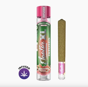 Jeeter - Watermelon ZKZ (I) | 2g Infused Preroll | Jeeter XL