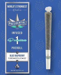 PRESIDENTIAL - Presidential - Blue Raspberry - Infused Preroll - 1.0g