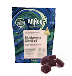 MFNY - Live Rosin Gummies - Blueberry x Oishi 4 - 100mg - Edible
