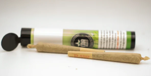 CNA - Lemon Meringue - 1g - CNA