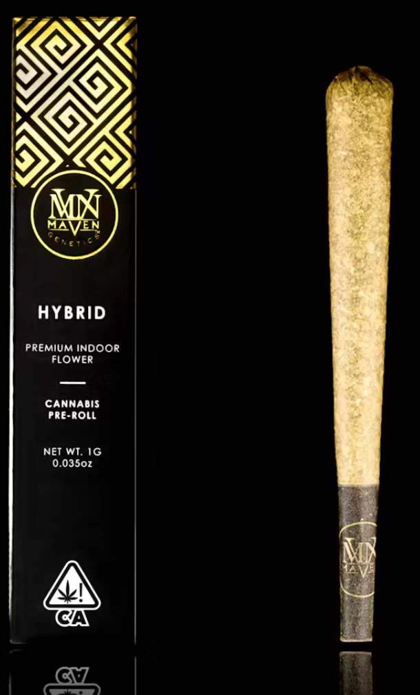 Maven Genetics - Maven Genetics - Golden Applez - Preroll - 1G Main Image