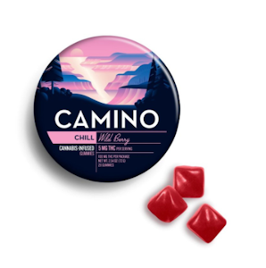 CAMINO - Camino | Edible | Wild Berry | 20 pack | 100mg