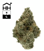 Kosher Kush x Albarino - 3.5g - Harbor House