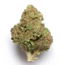 Willie's Reserve - Cement Shoes 3.5g Prepack - WILLIE'S RESERVE Main Image