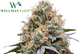 High C - 3.5g - Wellman Farm